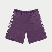 Godspeed CourtSide Shorts Grape Wash