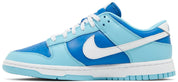 Nike Dunk Low Argon